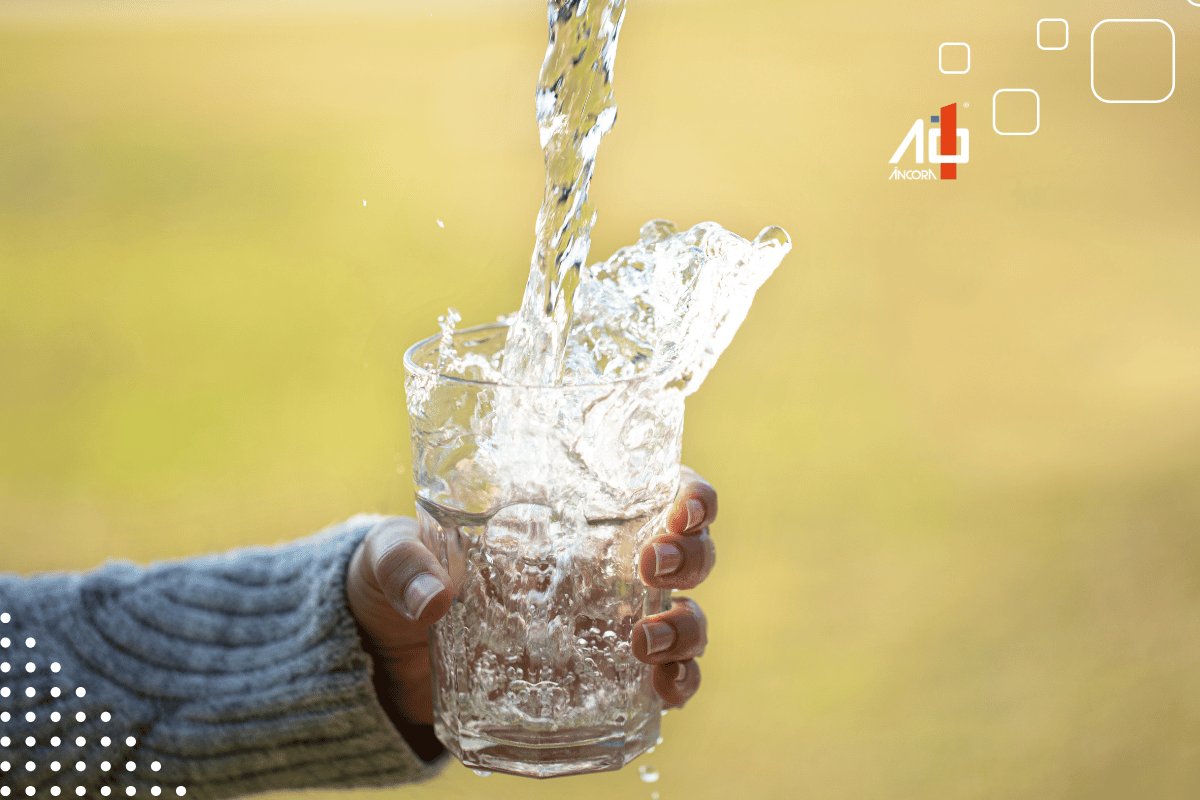 Descrição da imagem