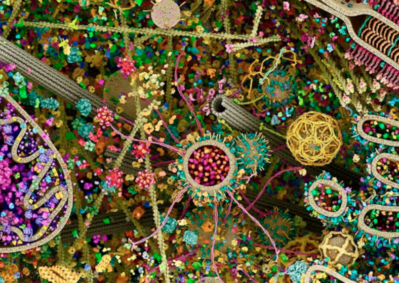 Descrição da imagem