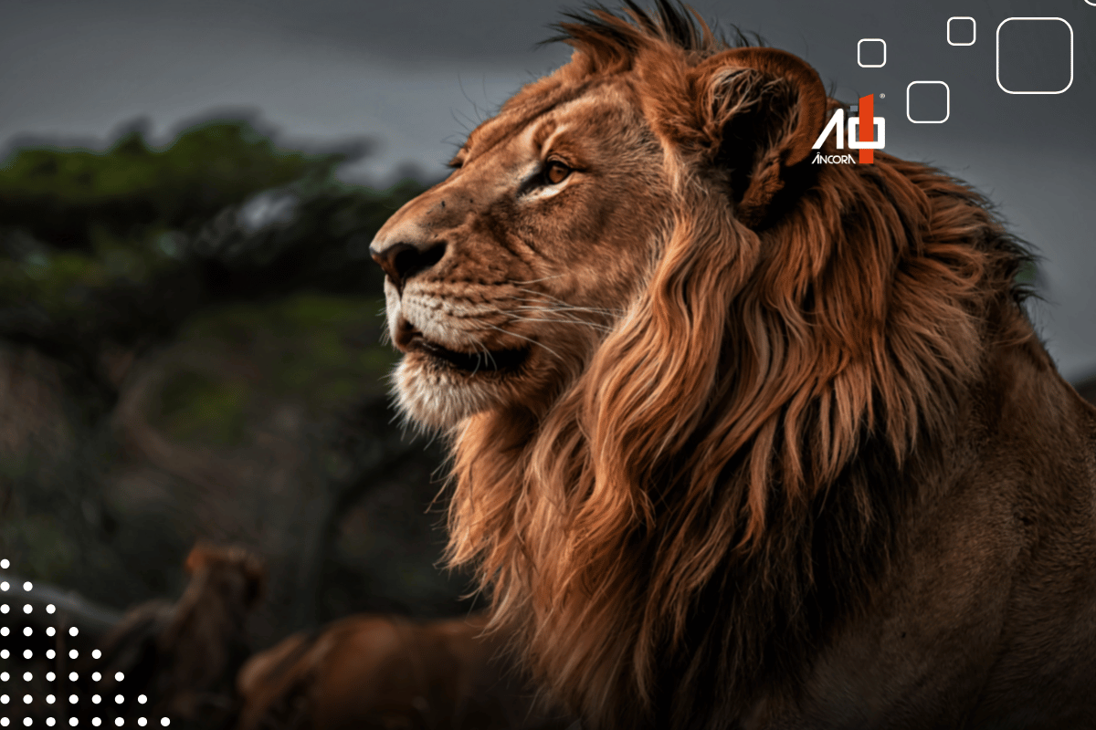 Descrição da imagem