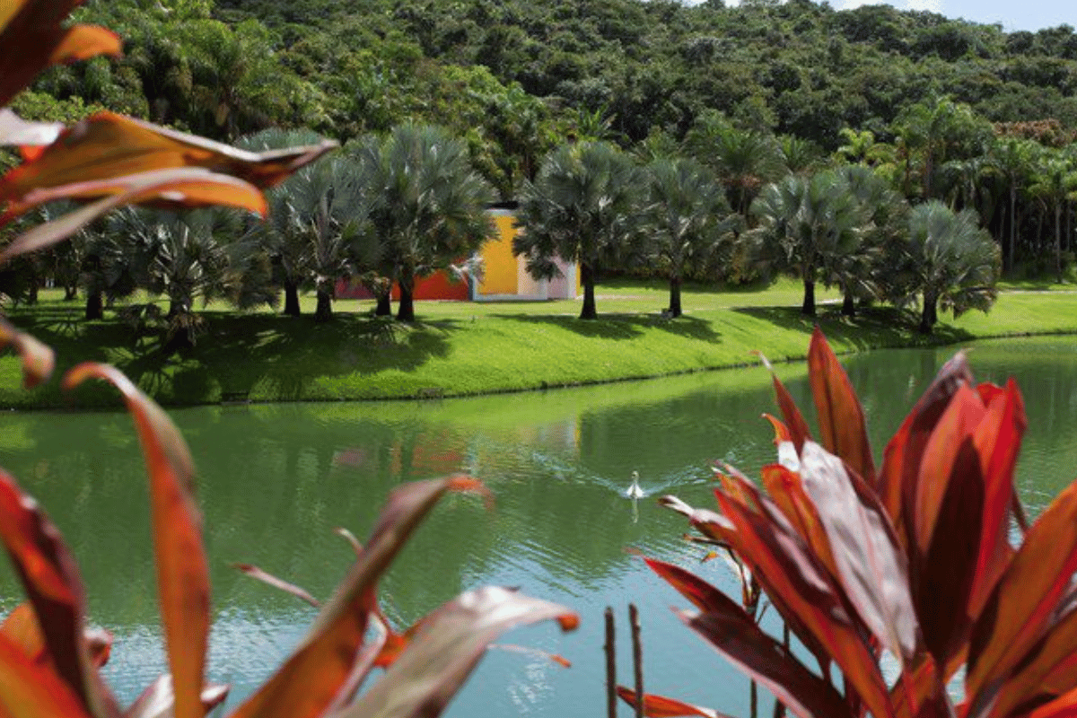 Descrição da imagem