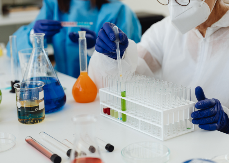 Descrição da imagem