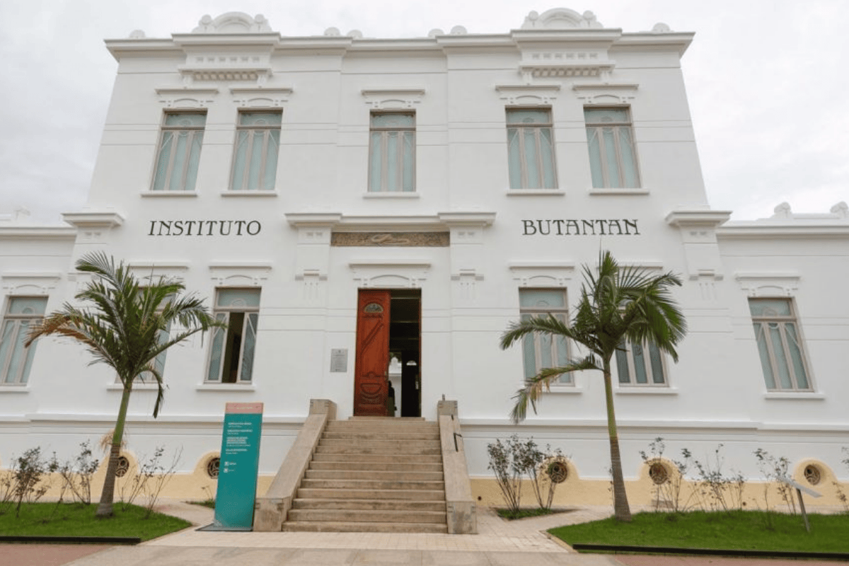 Descrição da imagem