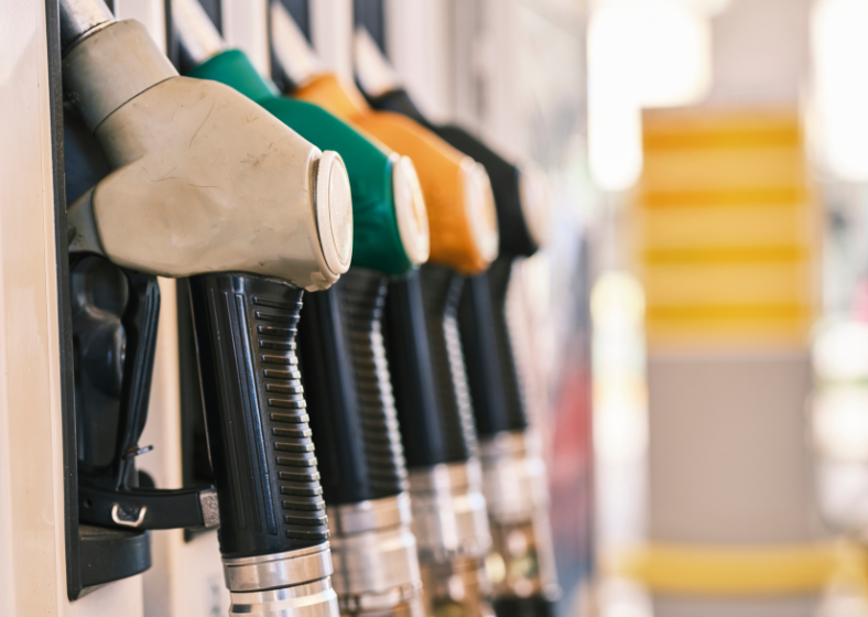 Descrição da imagem