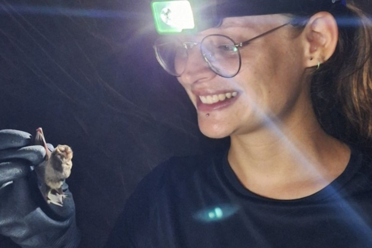 Descrição da imagem