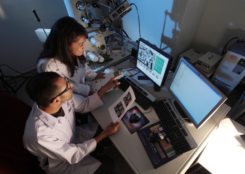 Descrição da imagem