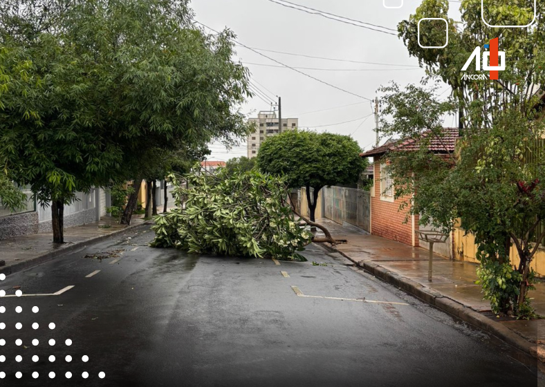 Descrição da imagem