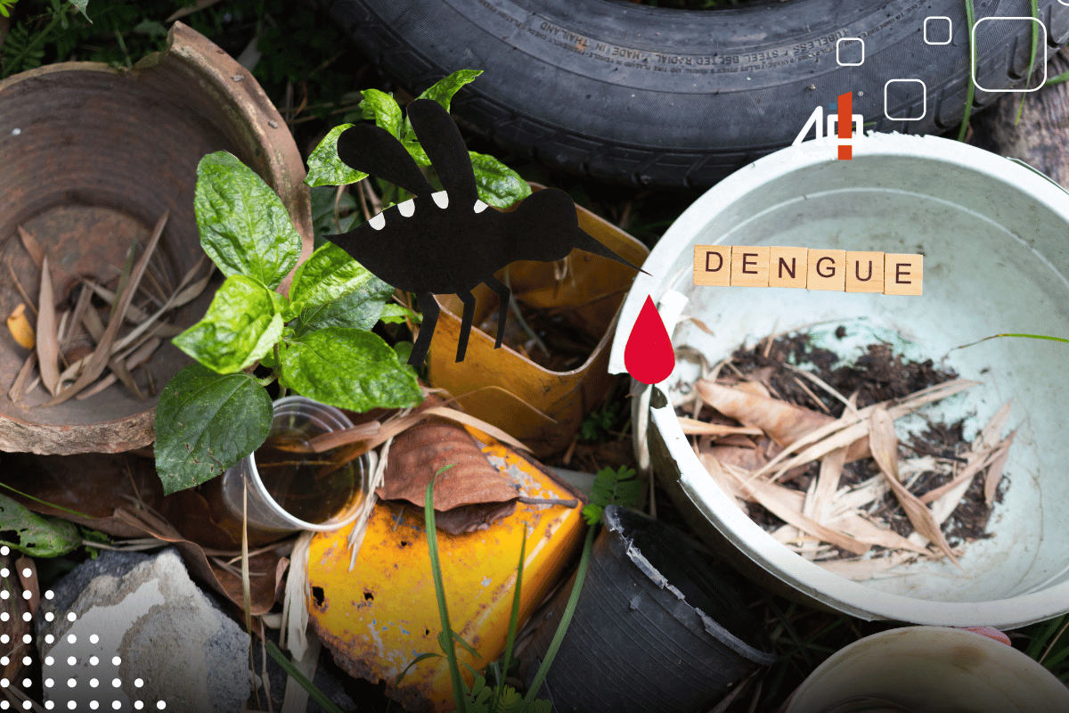 Descrição da imagem