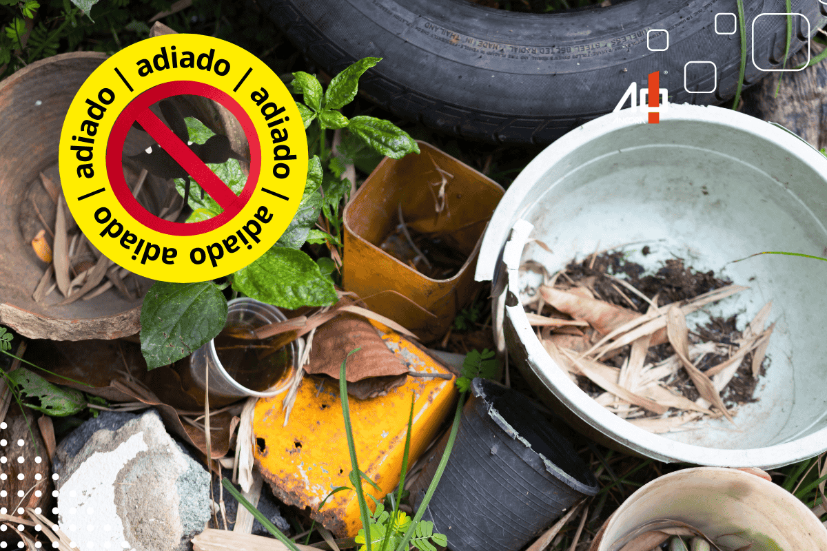 Descrição da imagem