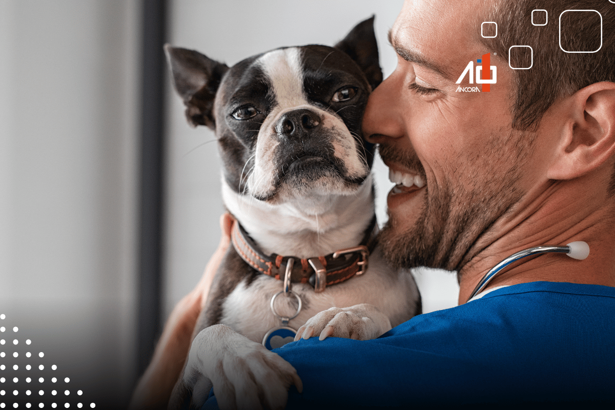 Descrição da imagem