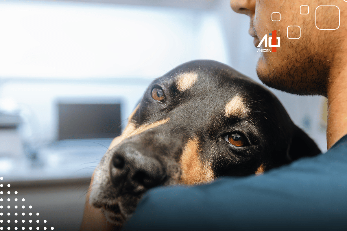 Descrição da imagem