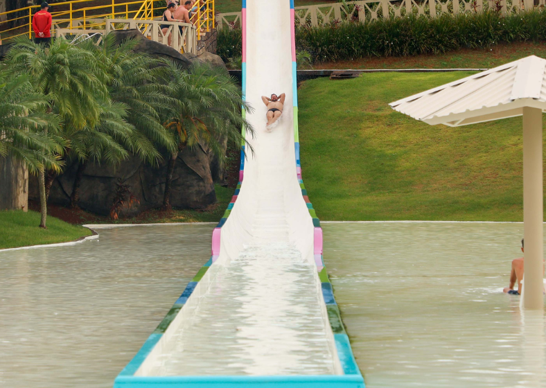 Descrição da imagem