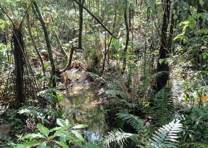 Descrição da imagem