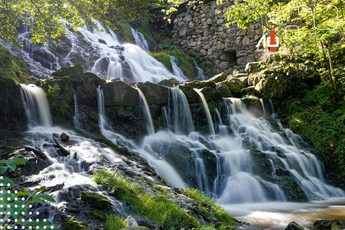 Descrição da imagem