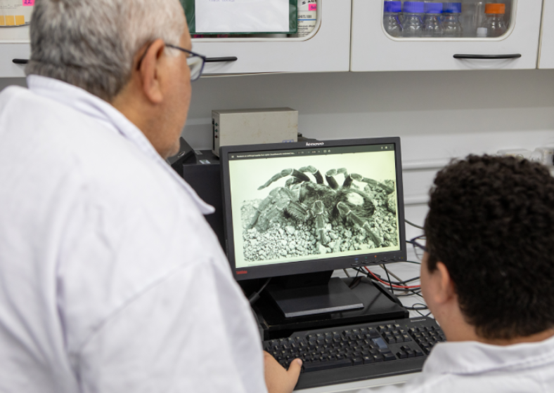 Descrição da imagem