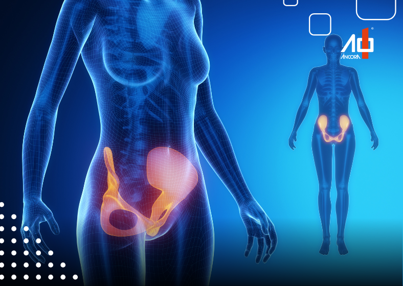 Descrição da imagem