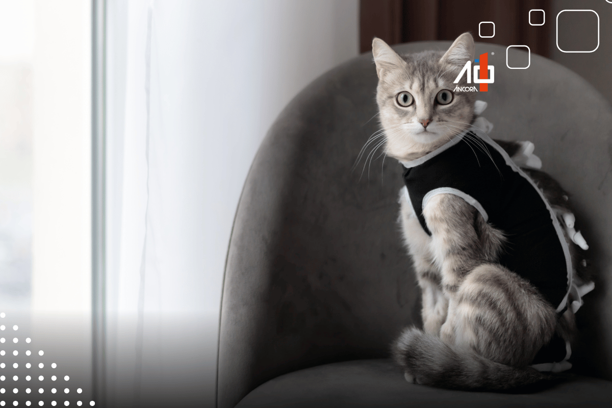 Descrição da imagem