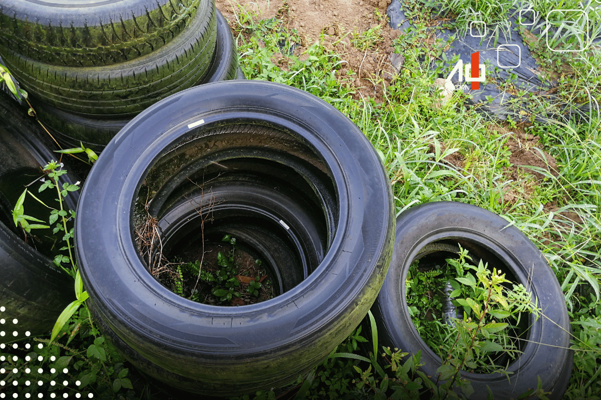 Descrição da imagem