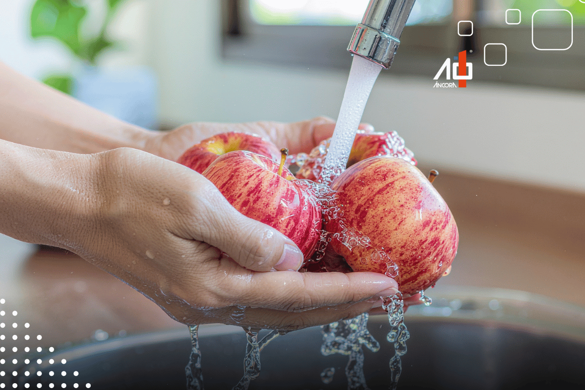 Descrição da imagem