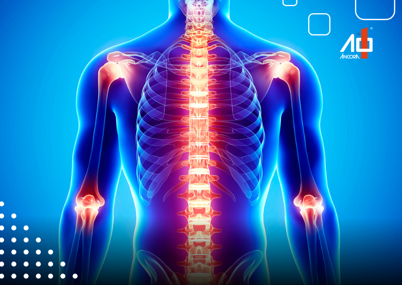 Descrição da imagem