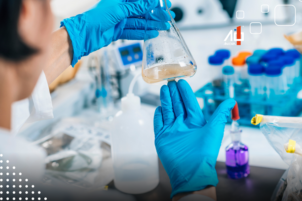 Descrição da imagem