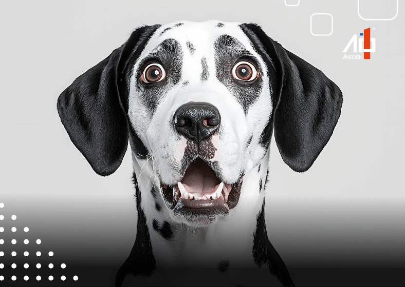 Descrição da imagem