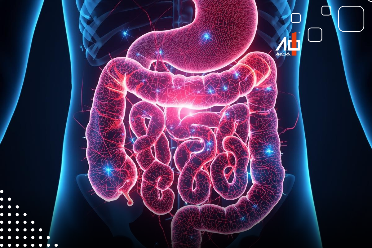 Descrição da imagem