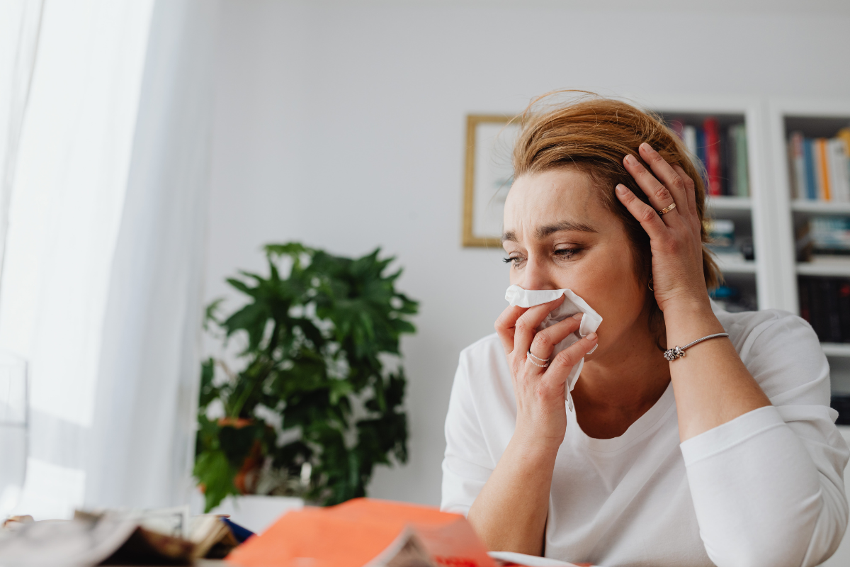 Descrição da imagem