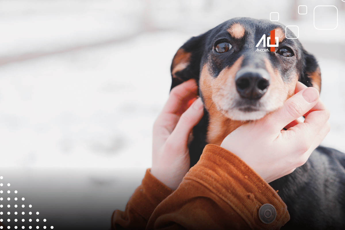 Descrição da imagem