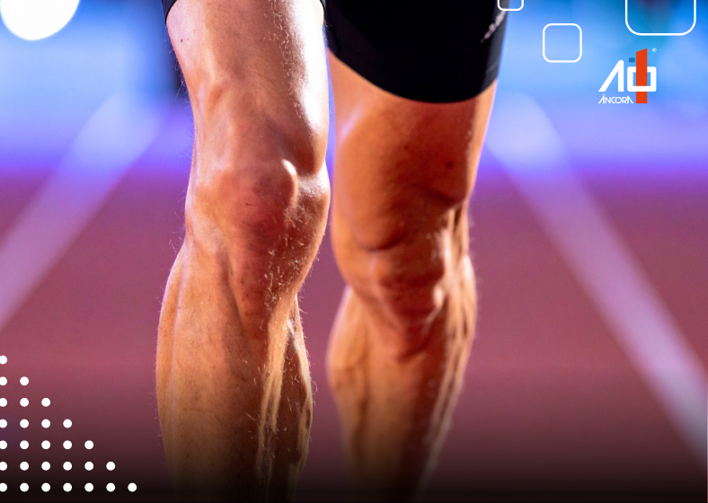 Descrição da imagem