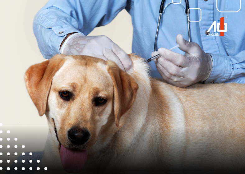 Descrição da imagem