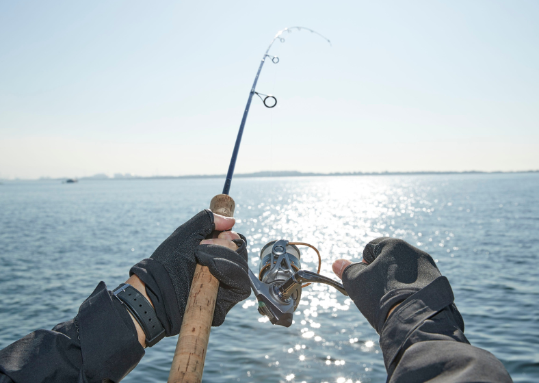 Descrição da imagem