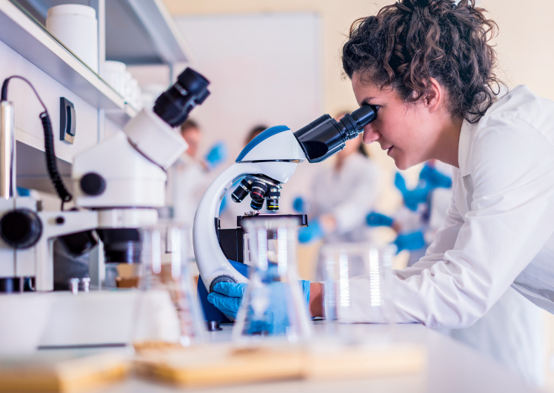 Descrição da imagem