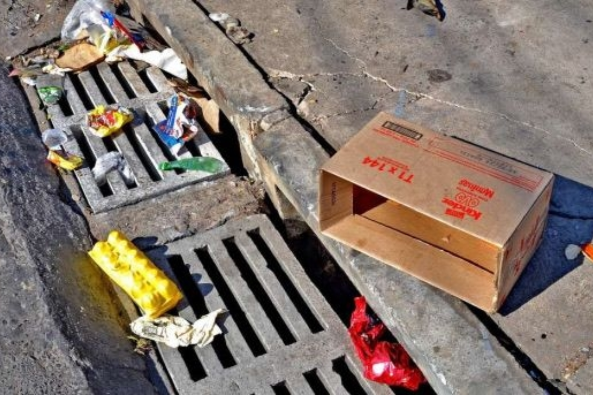 Descrição da imagem