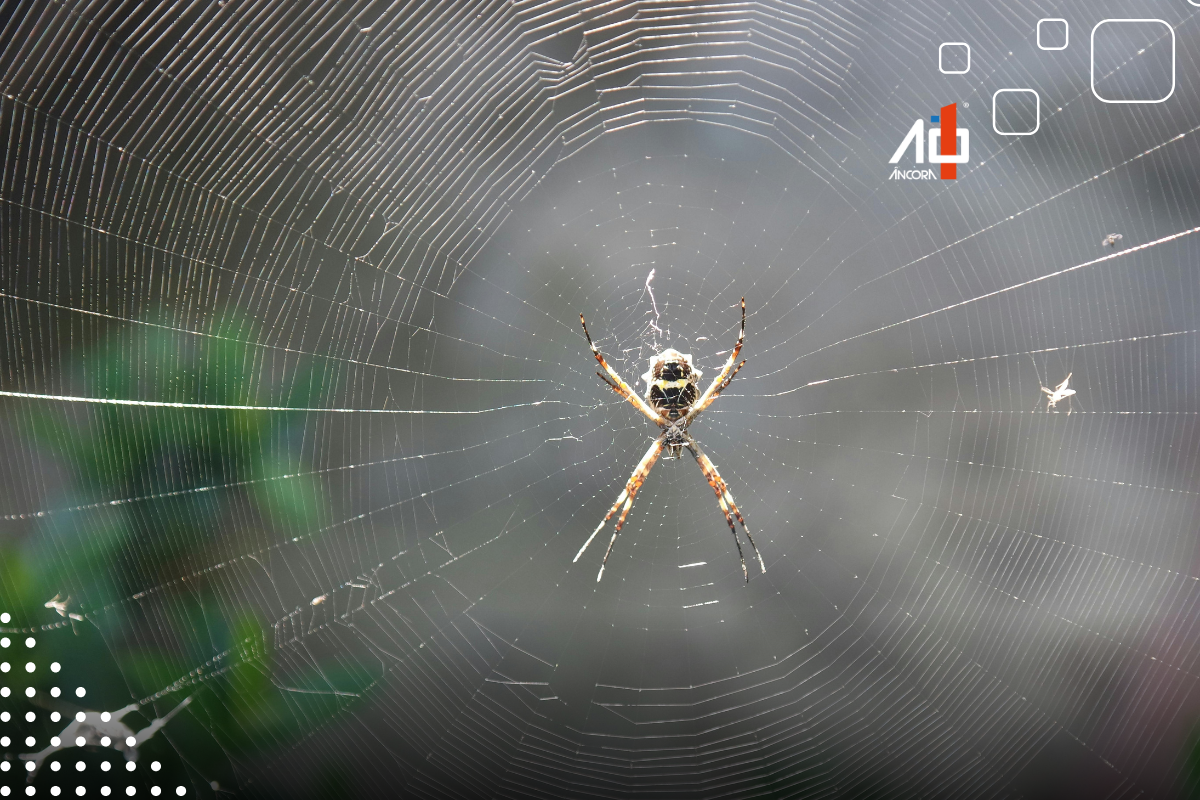 Descrição da imagem