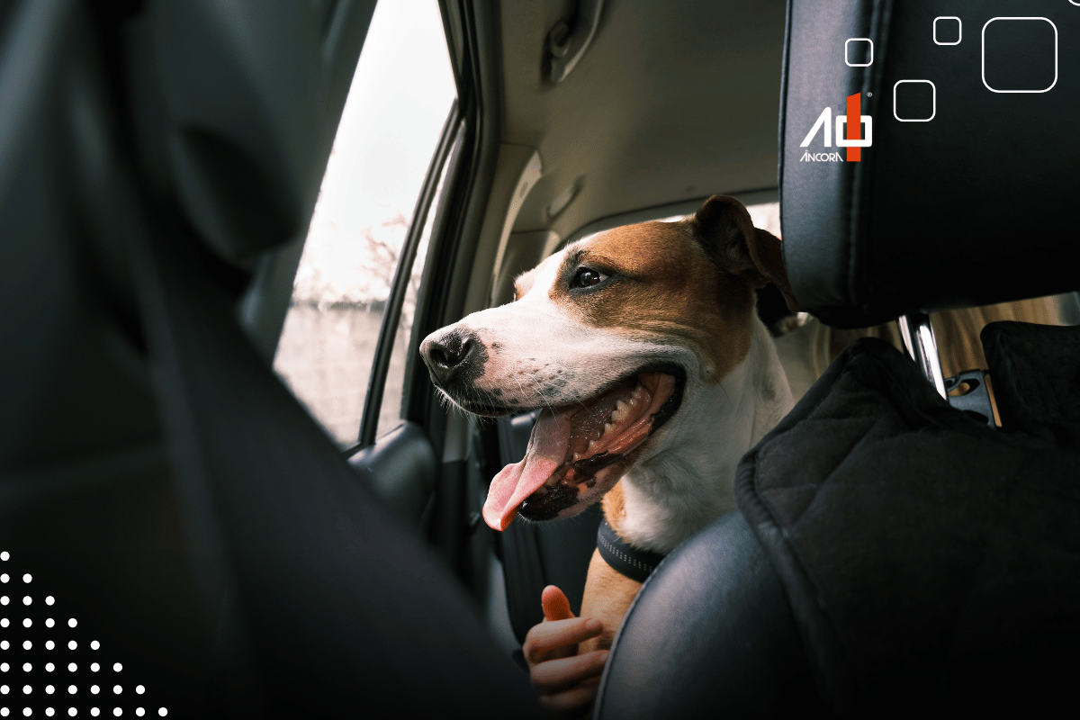 Descrição da imagem