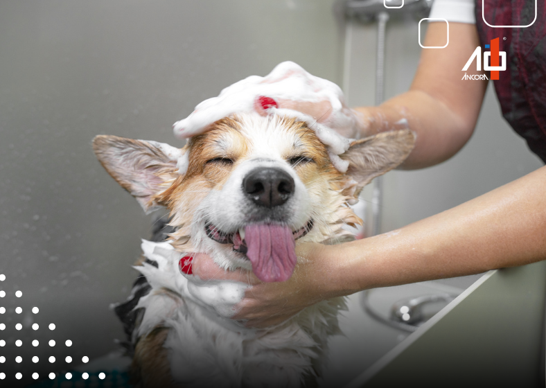 Descrição da imagem