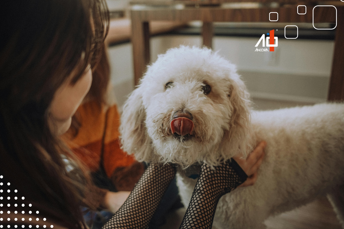 Descrição da imagem