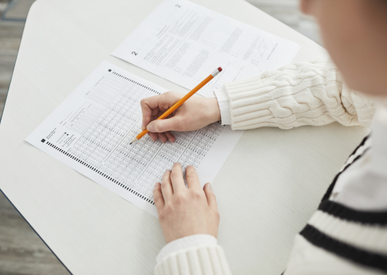 Descrição da imagem