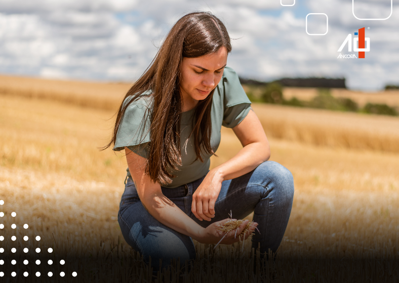 Descrição da imagem