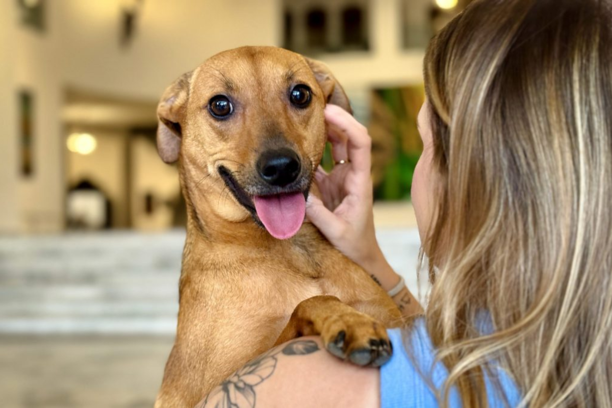 Descrição da imagem