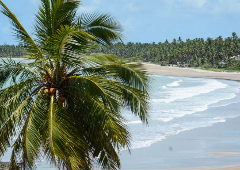 Descrição da imagem