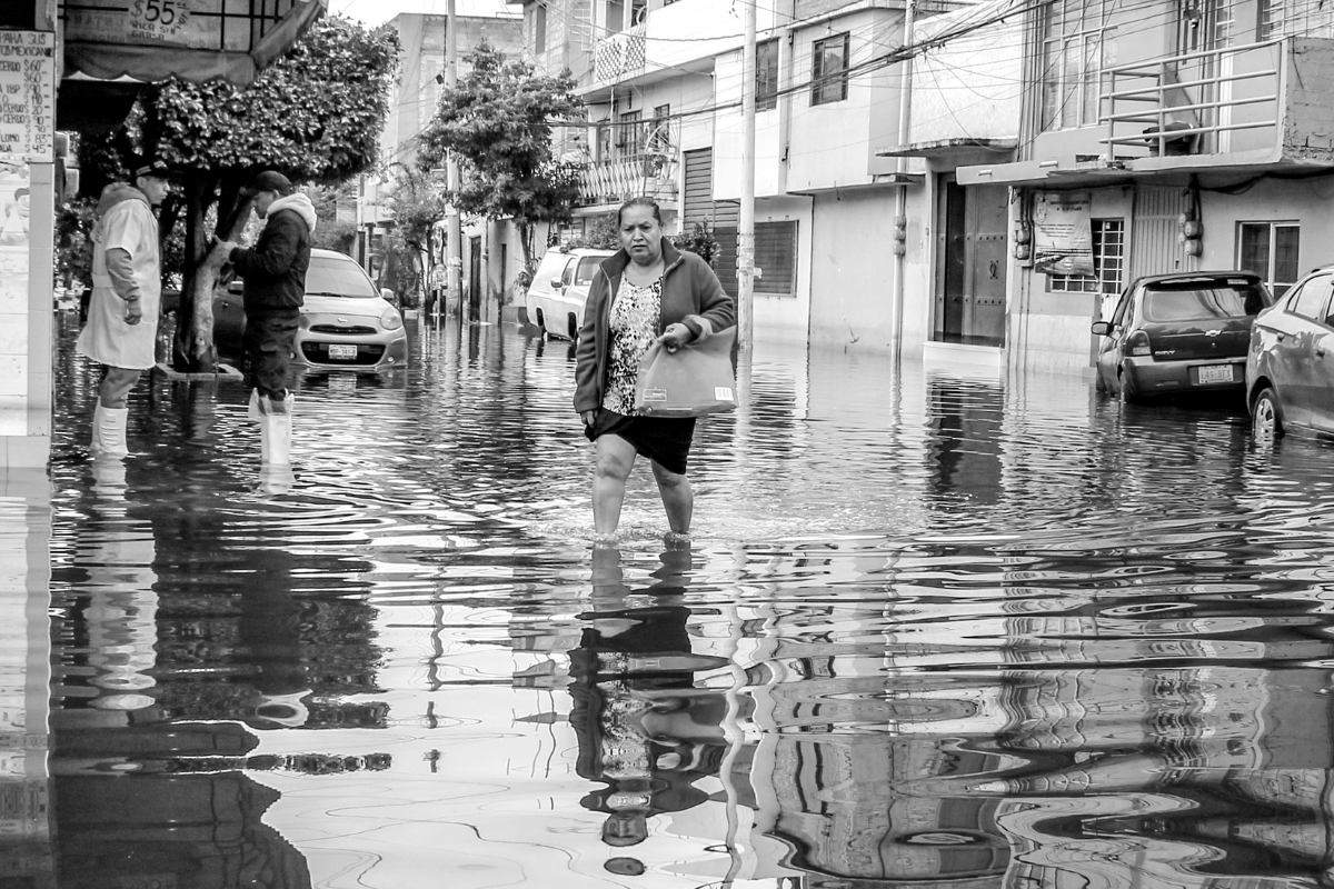 Descrição da imagem