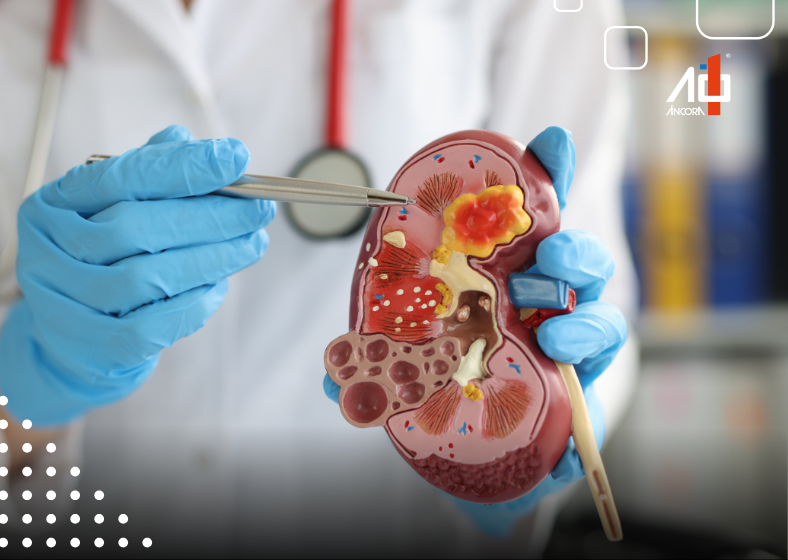 Descrição da imagem