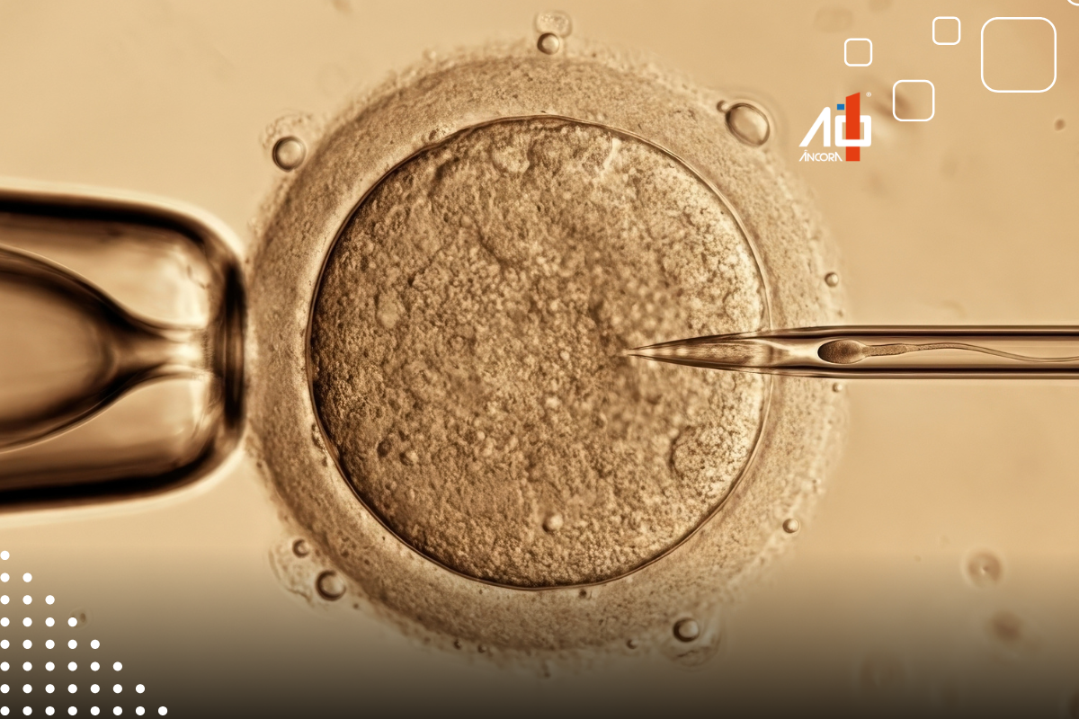 Descrição da imagem