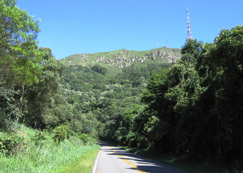 Descrição da imagem