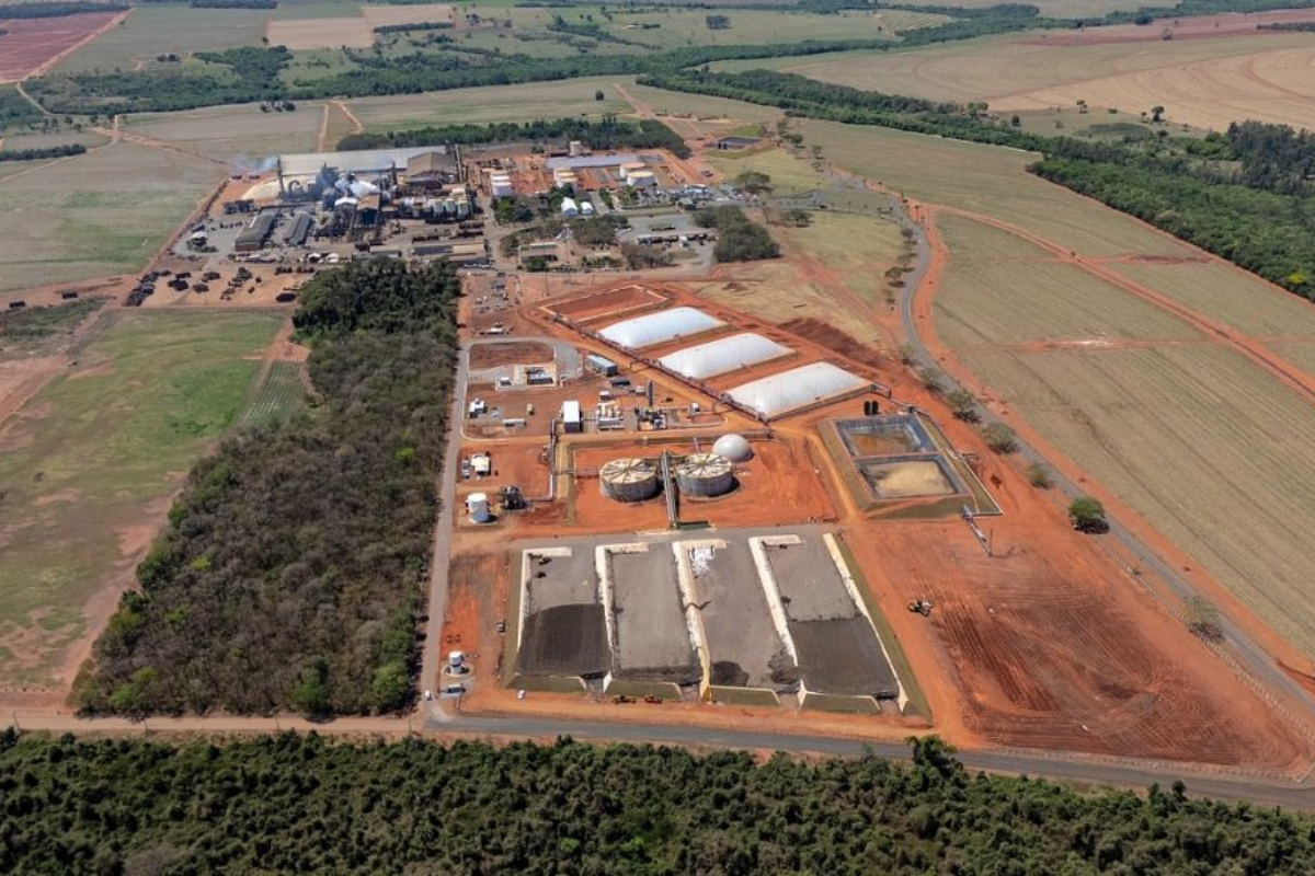 Descrição da imagem