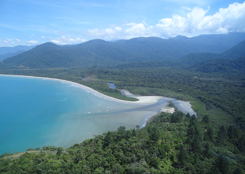 Descrição da imagem