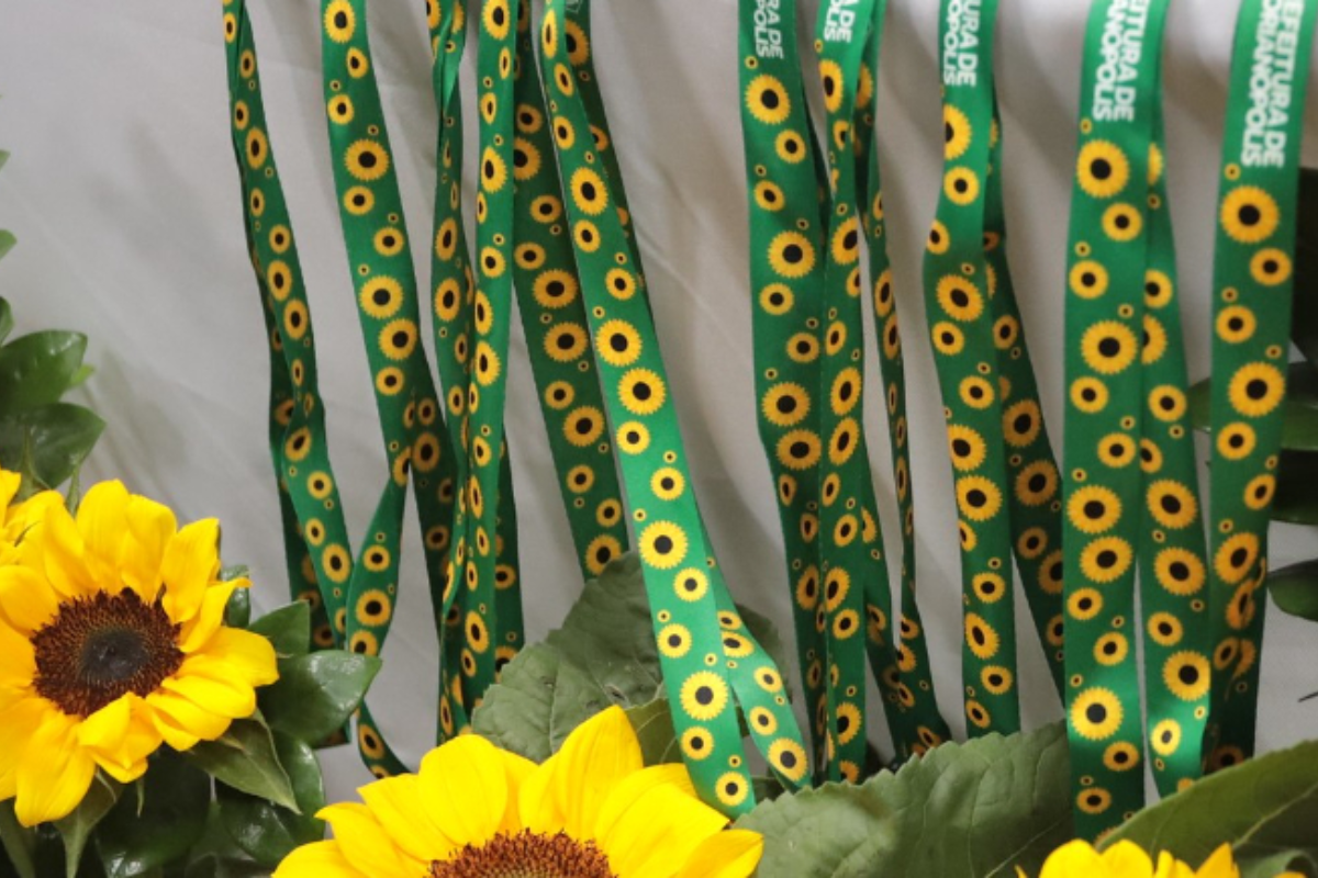 Descrição da imagem