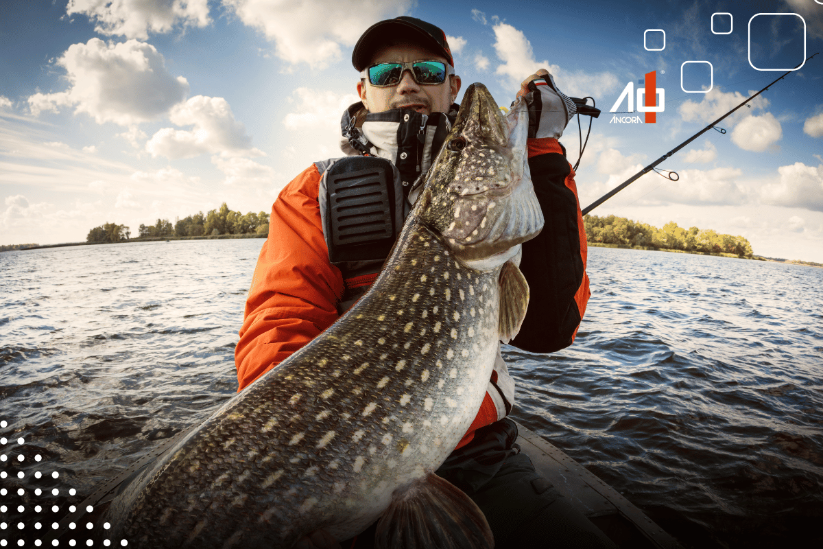 Descrição da imagem