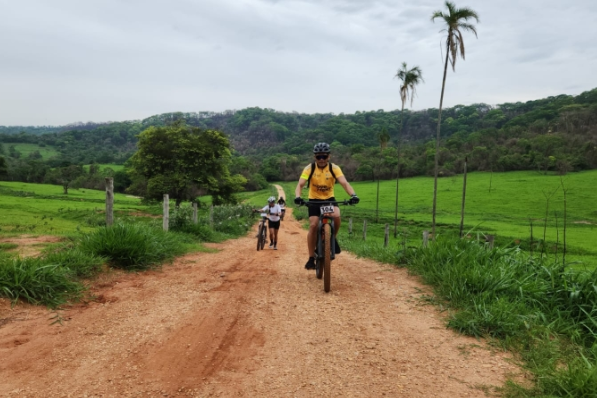 Descrição da imagem